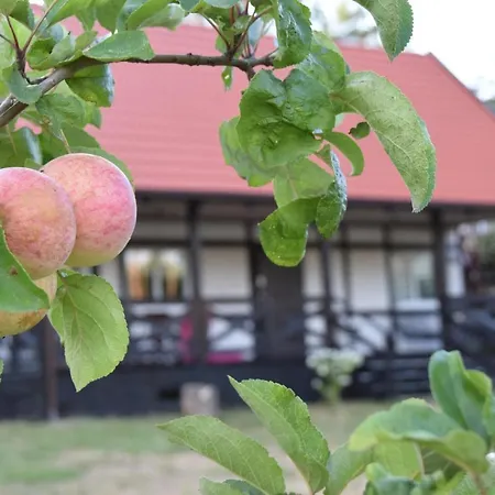Holiday home W Kratke 56 Zalakowo