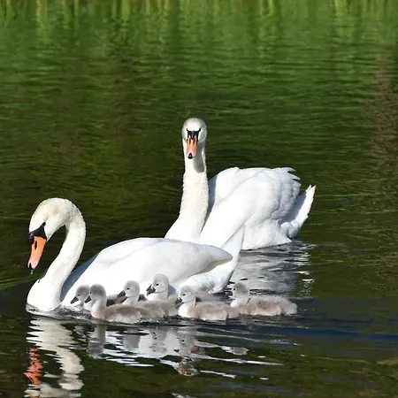 W Kratke 56 Feriehus