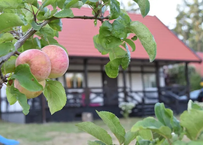 Prázdninový dům W Kratke 56 Zalakowo