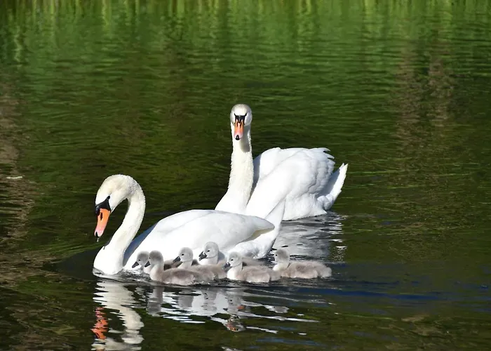 W Kratke 56 Prázdninový dům